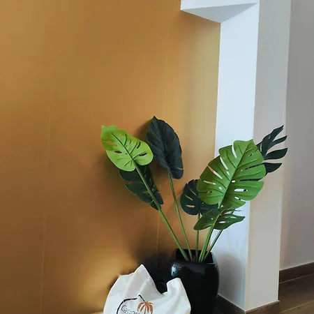 Casa Costa - Happy 科斯塔特吉塞